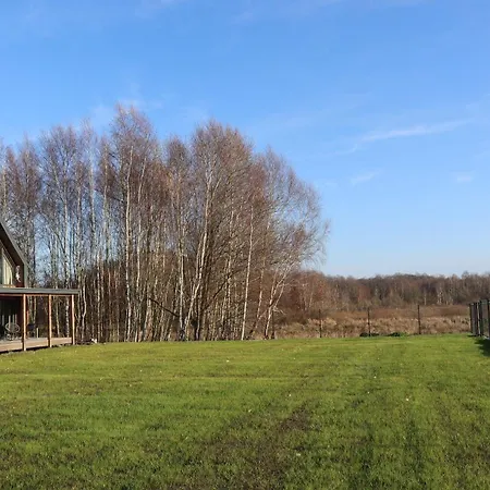 Chill * 格里兹鲍